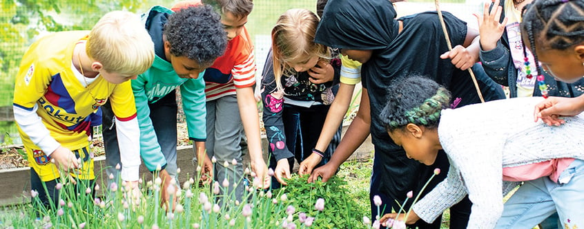 LS-garden-group-crop